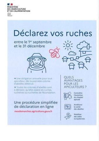 Apiculture - déclaration de ruches 2024
